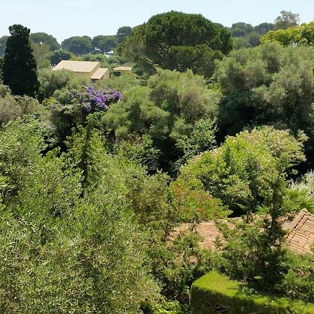 Green Cap D'Antibes Bagian luar foto