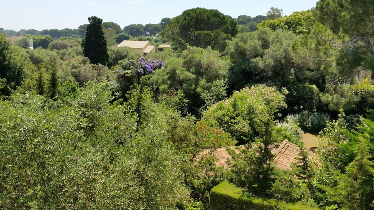 Green Cap D'Antibes Bagian luar foto