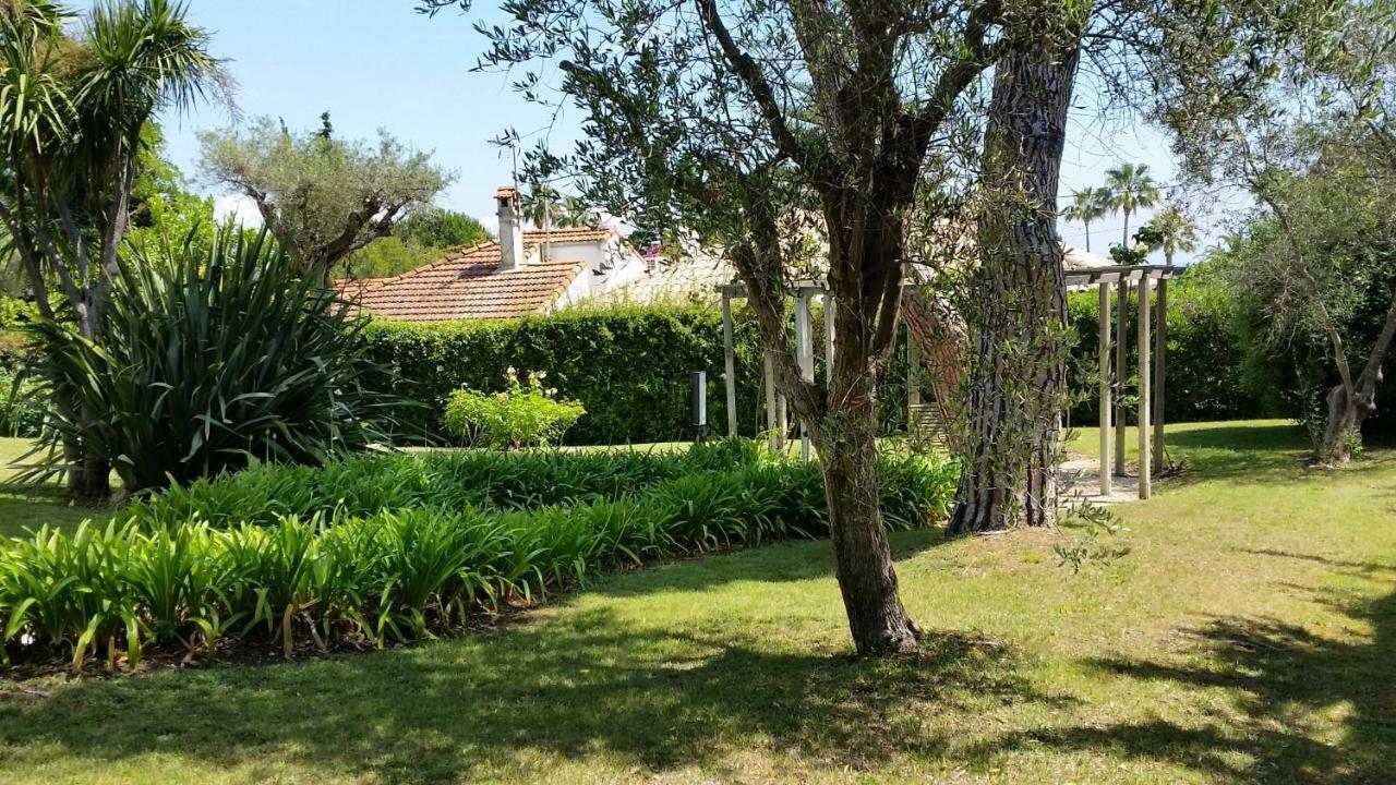 Green Cap D'Antibes Bagian luar foto