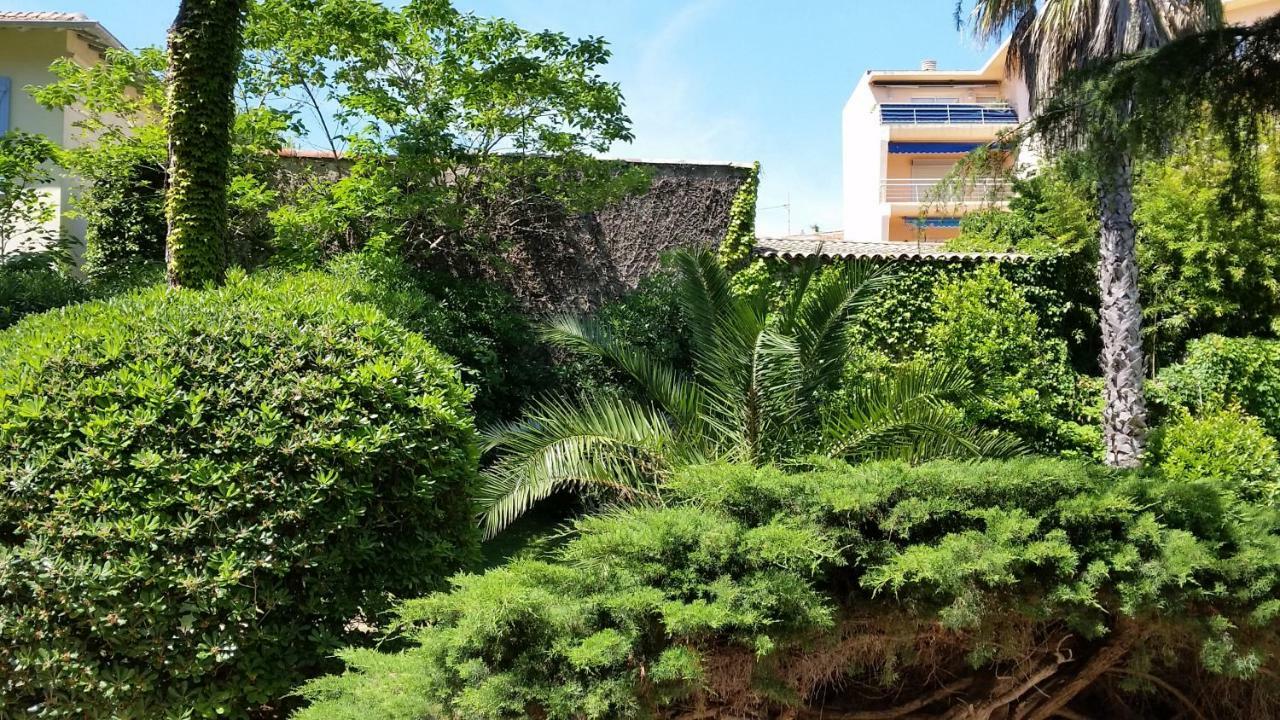 Green Cap D'Antibes Bagian luar foto
